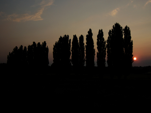 Impressions4