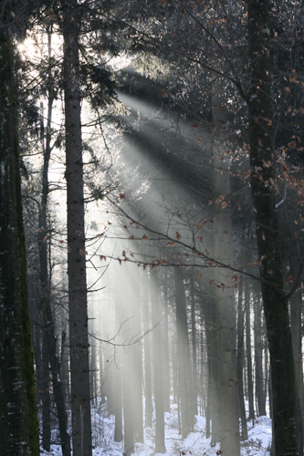 Lichtspiel3